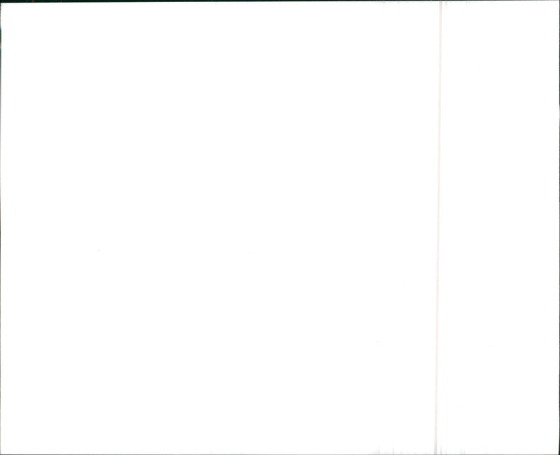 Skylite sunroof - Vintage Photograph