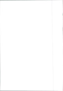 Peugeot Boxer - Vintage Photograph