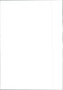 Peugeot Boxer - Vintage Photograph