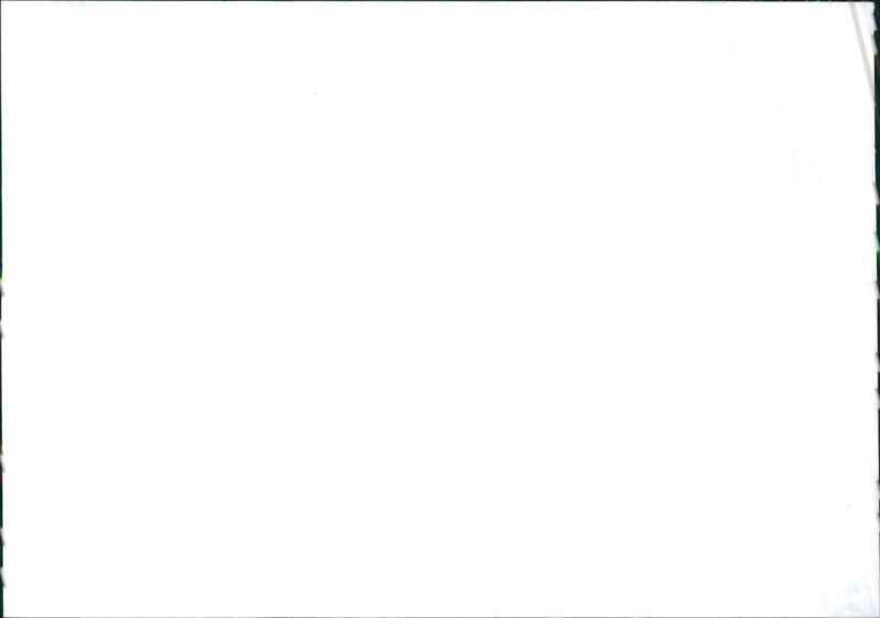 1994 Saab 900 Coupe and Saab 900 Convertible - Vintage Photograph