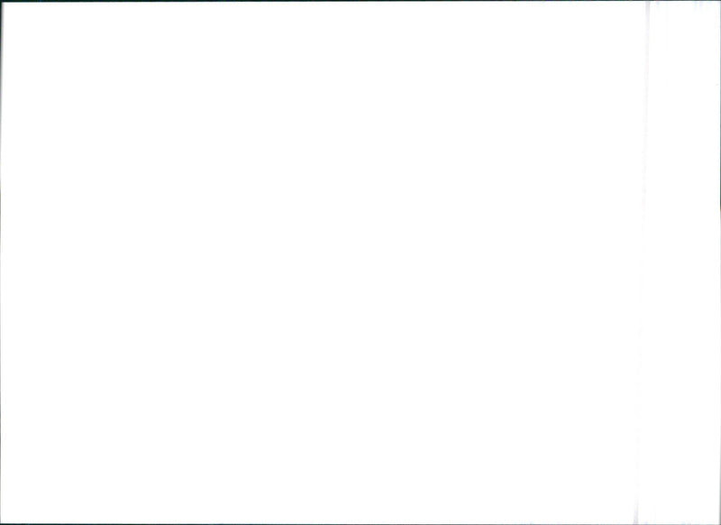 1994 Citroën Jumper - Vintage Photograph