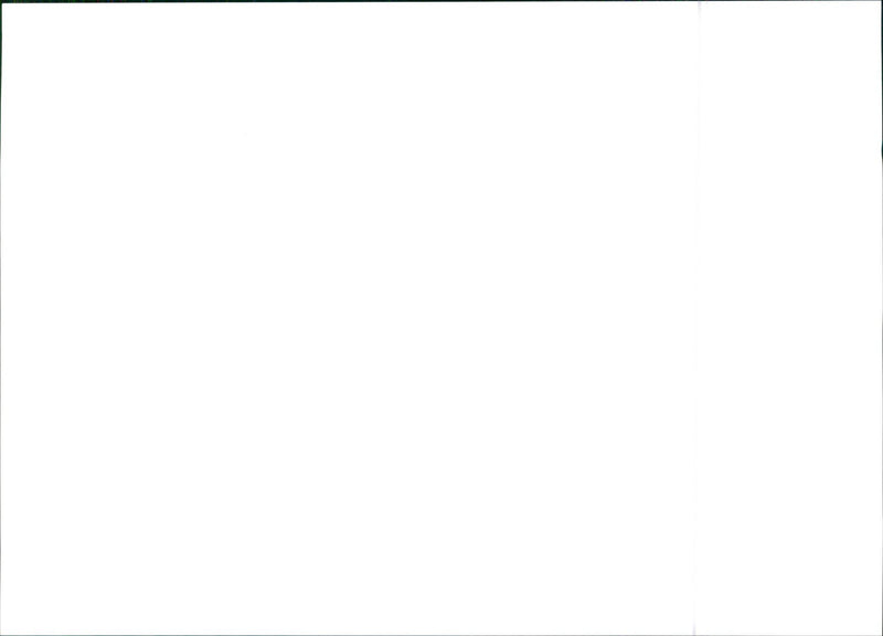 1994 Citroën Jumper - Vintage Photograph