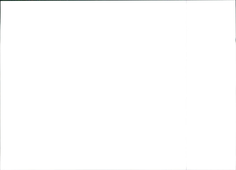 Citroën Jumper - Vintage Photograph