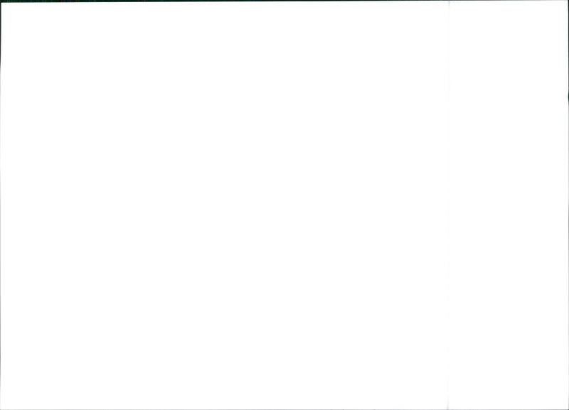 Citroën Jumper - Vintage Photograph