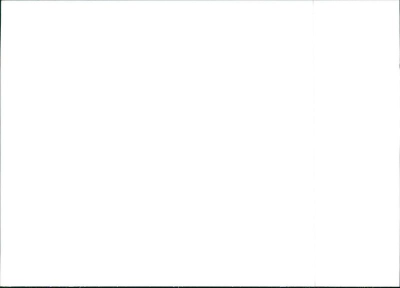 Citroën Jumper - Vintage Photograph