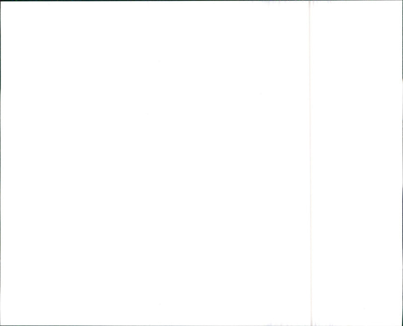 1990 Oldsmobile Expression - Vintage Photograph