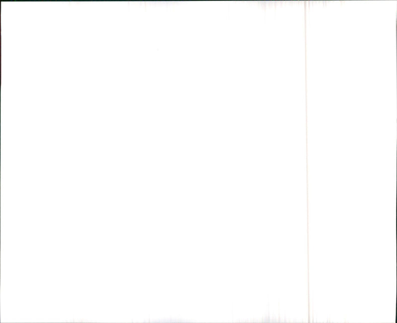 1990 Oldsmobile Cutlass Calais Quad 442 - Vintage Photograph