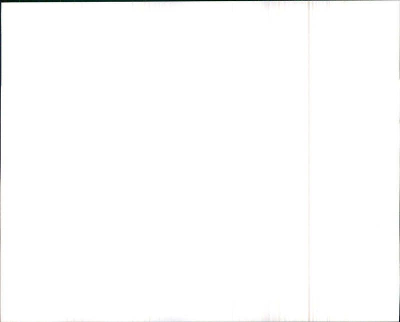 1990 Oldsmobile Cutlass Ciera SL Sedan - Vintage Photograph