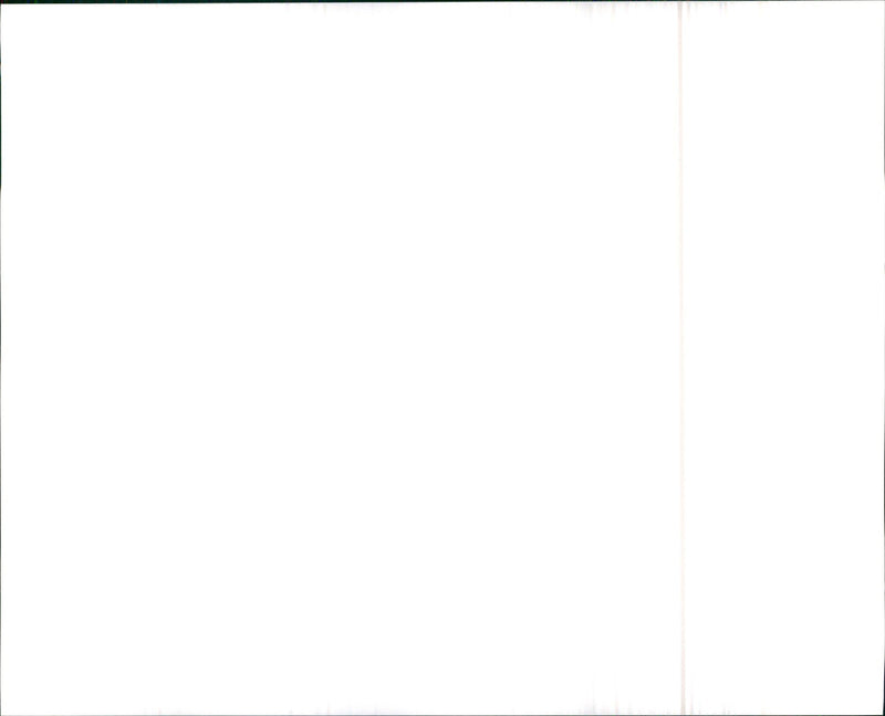 1990 Oldsmobile Cutlass Supreme Convertible - Vintage Photograph