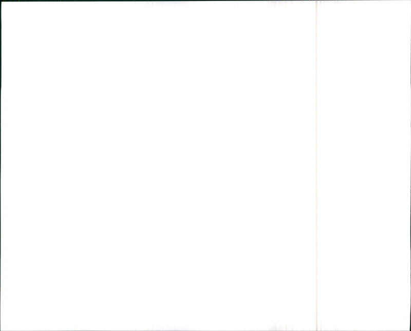 1990 Oldsmobile Eighty-Eight Royale Brougham - Vintage Photograph