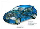 2001 Peugeot 307 - Vintage Photograph