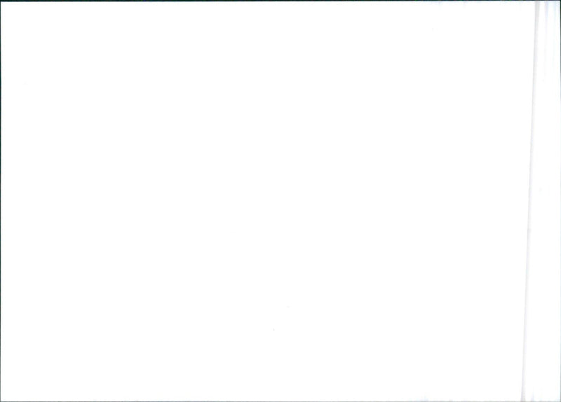 Honda Collision Mitigation Brake System - Vintage Photograph