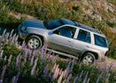 2001 Chevrolet TrailBlazer - Vintage Photograph