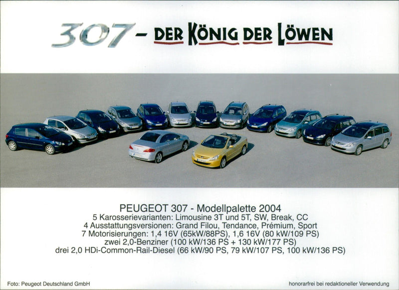 2004 Peugeot 307 model range - Vintage Photograph