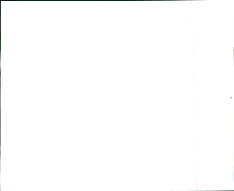 1994 Saab 900 - Vintage Photograph