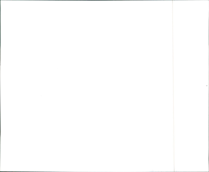 1994 Saab 900 - Vintage Photograph