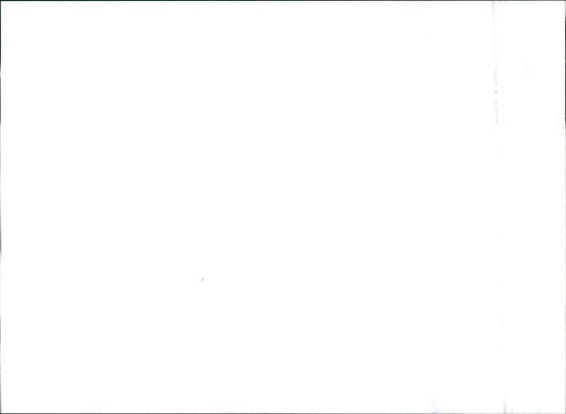 2001 Honda Civic Coupe - Vintage Photograph