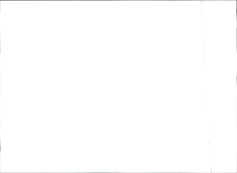 2001 Honda Civic Coupe - Vintage Photograph