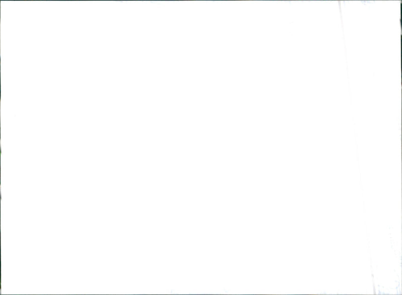 2001 Honda Civic Coupe - Vintage Photograph