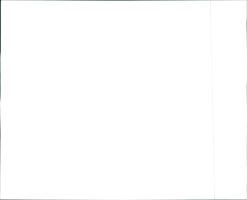 1990 Buick Regal Limited Sedan - Vintage Photograph