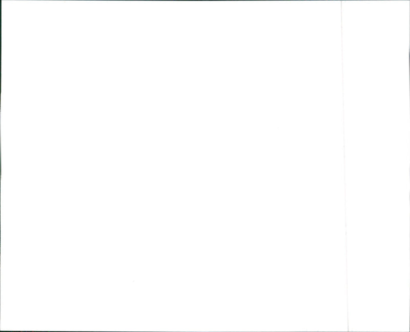 1990 Buick Le Sabre Custom Sedan - Vintage Photograph