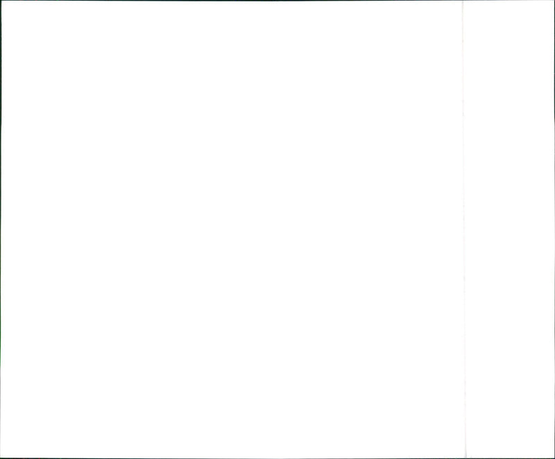 1990 Buick Skylark Custom Coupe and 1990 Buick Skylark Luxury Edition - Vintage Photograph