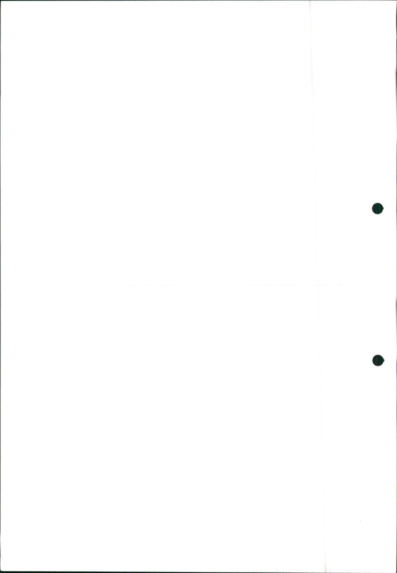 1988 Opel Vectra - Vintage Photograph