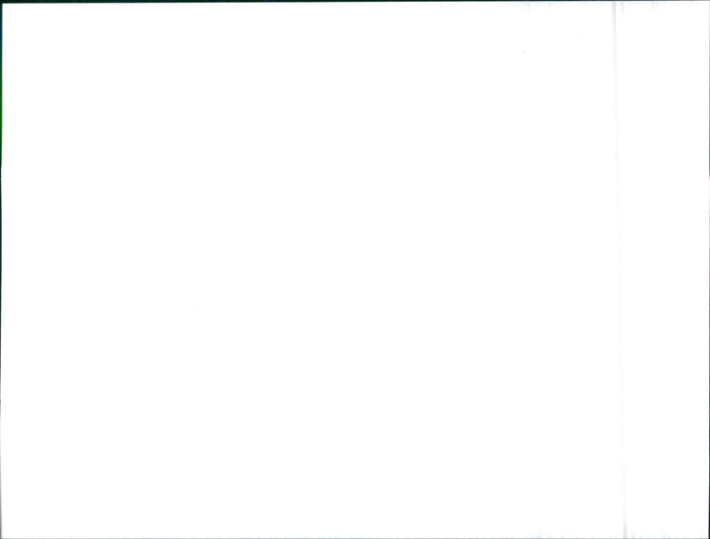 Opel cars - Vintage Photograph