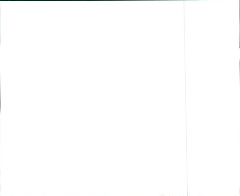 Chevrolet 1991 Camaro - Vintage Photograph