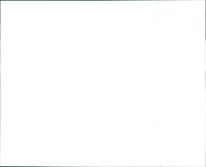 1990 Chevrolet Beretta - Vintage Photograph