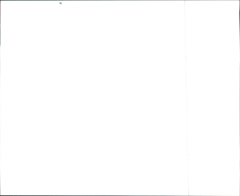 Chevrolet 1990 GEO - Vintage Photograph