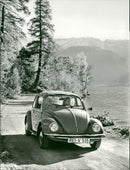 Volkswagen Beetle - Vintage Photograph