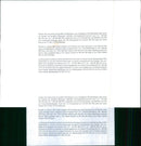 Volkswagen Passat - Vintage Photograph