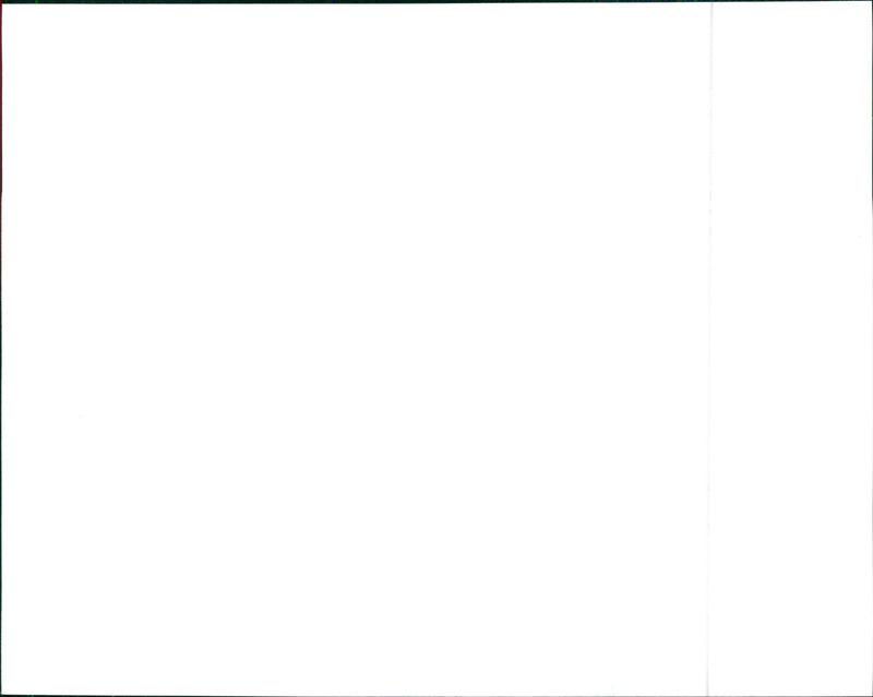 1990 Lancia Dedra Integrale - Vintage Photograph