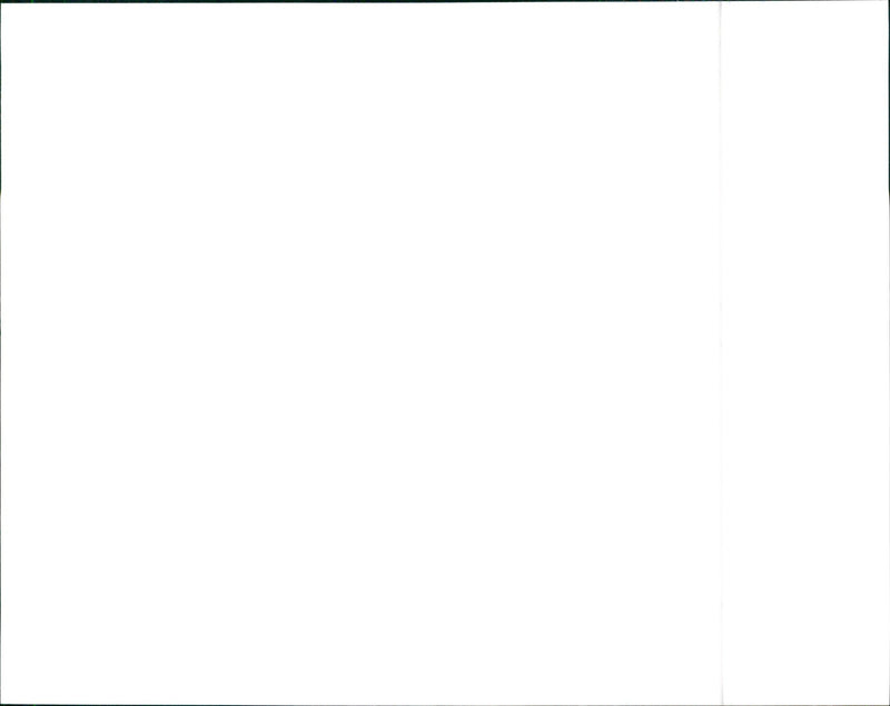 1990 Lancia Dedra Integrale - Vintage Photograph