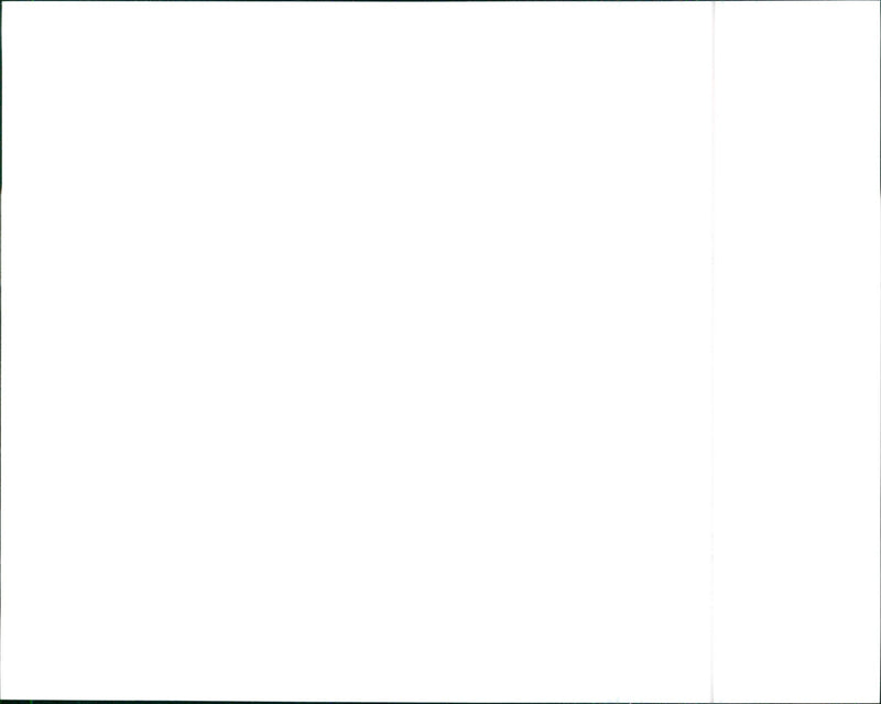 1990 Lancia Dedra Integrale - Vintage Photograph