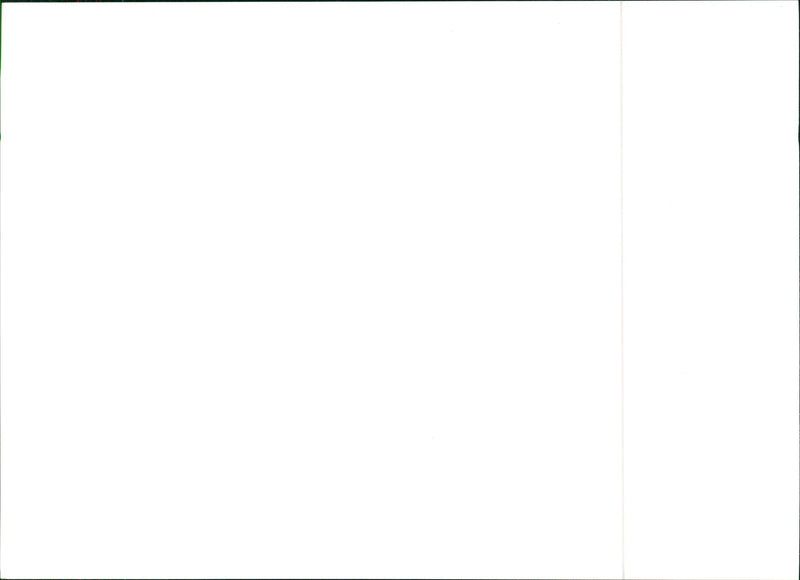 1990 Lancia Dedra Integrale - Vintage Photograph