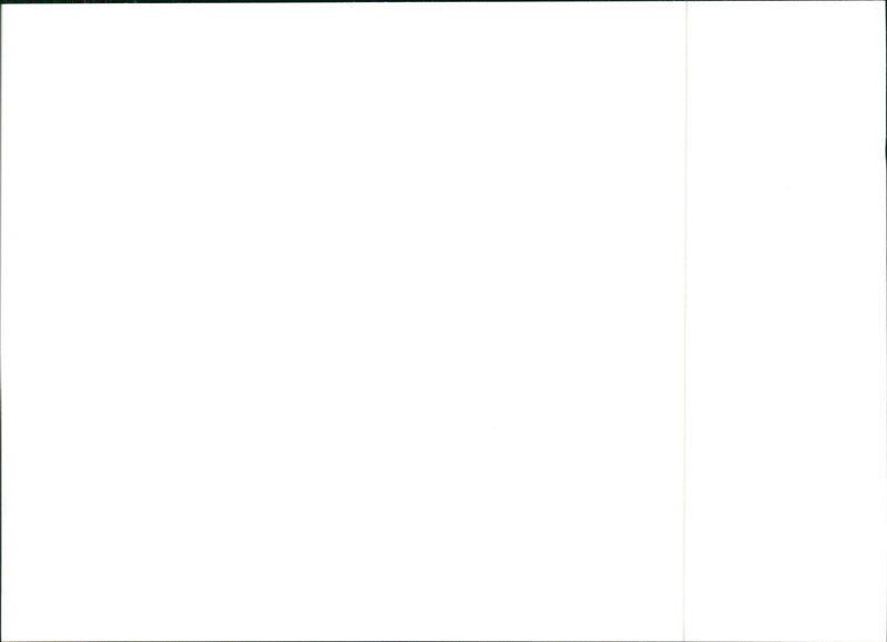 1990 Lancia Dedra Integrale - Vintage Photograph