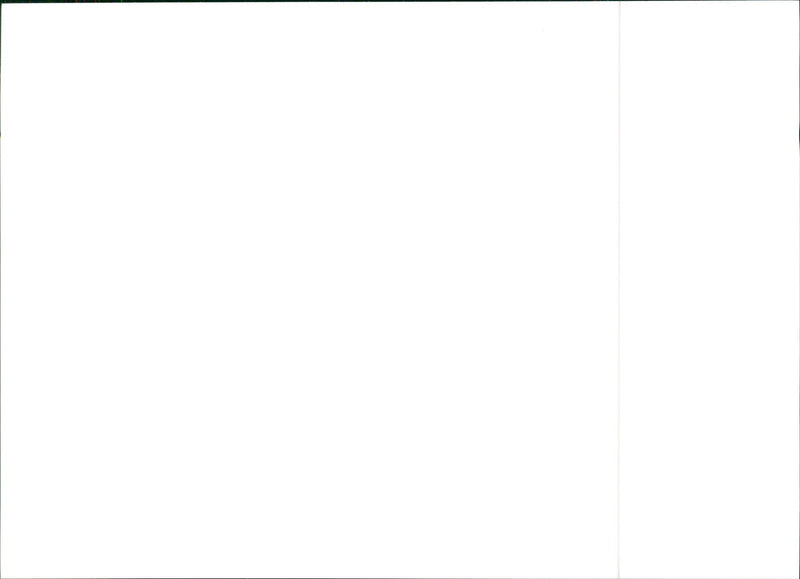 1990 Lancia Dedra Integrale - Vintage Photograph