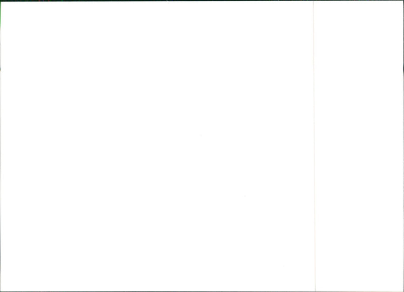 1990 Lancia Dedra 2000 Turbo / Dedra Integrale - Vintage Photograph