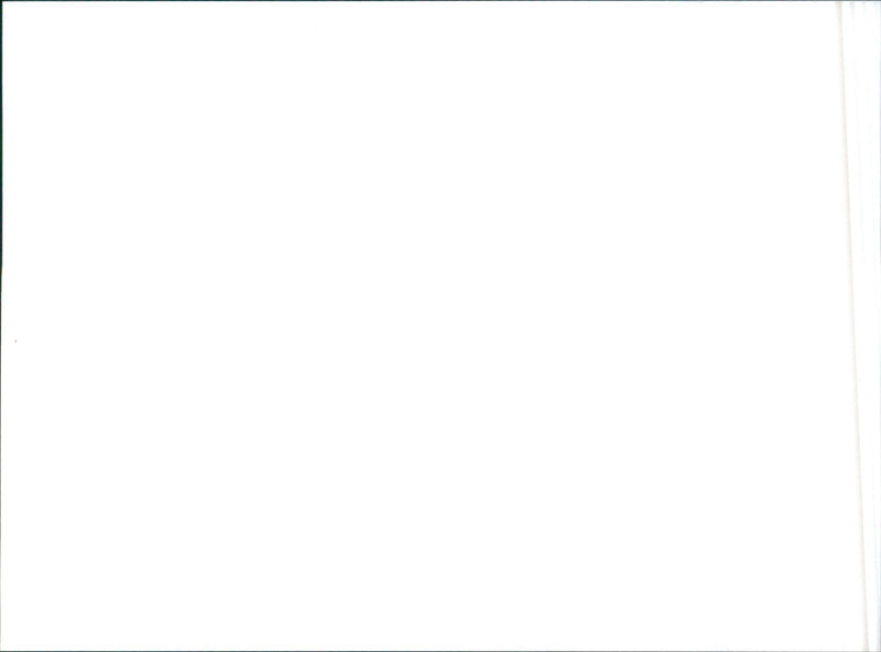 1989 Nissan Skyline - Vintage Photograph