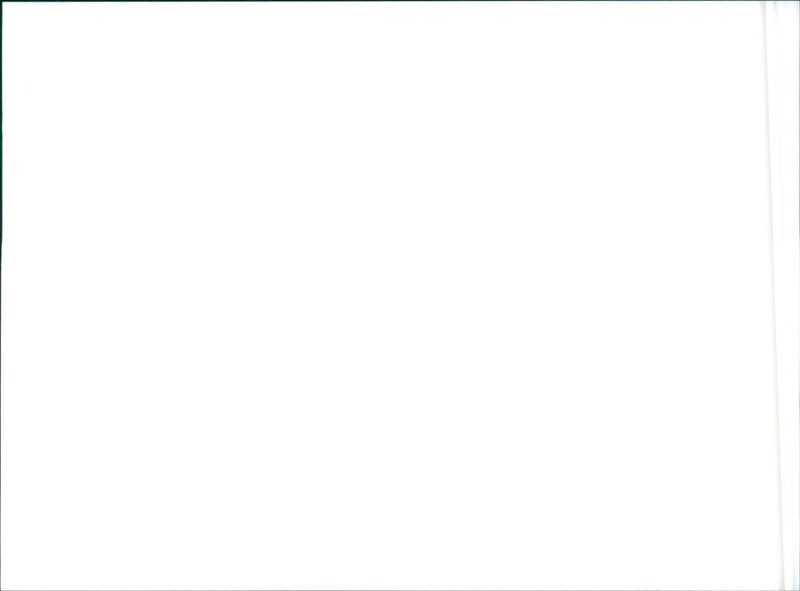 1989 Nissan Skyline - Vintage Photograph