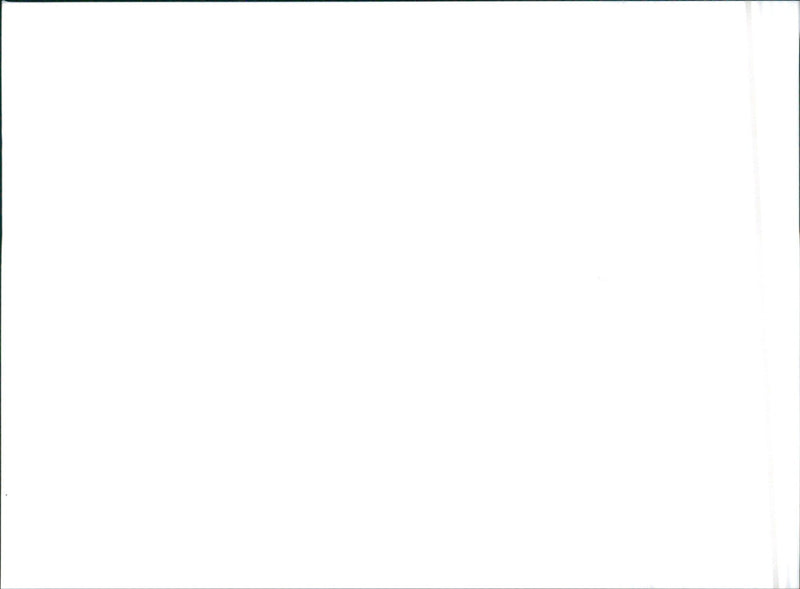 1989 Nissan Skyline - Vintage Photograph