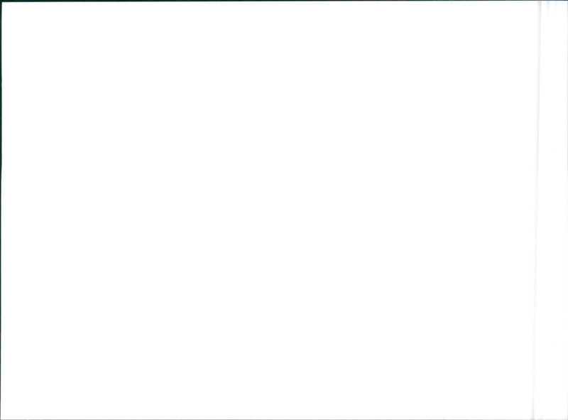 1989 Nissan Skyline - Vintage Photograph