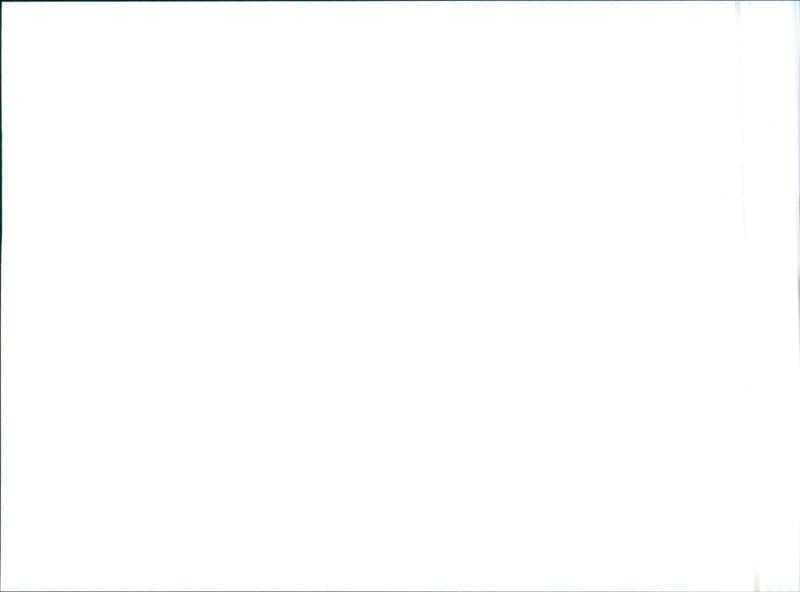 1989 Nissan Skyline - Vintage Photograph