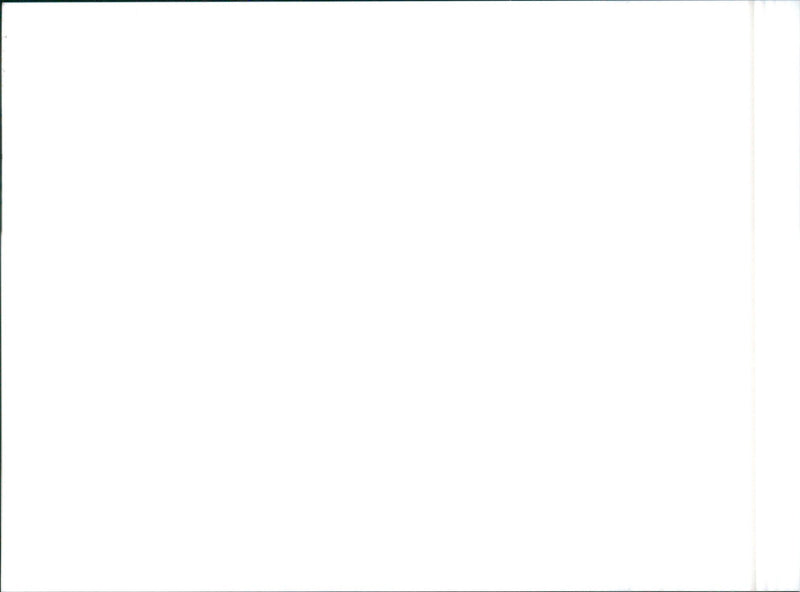 1989 Nissan Skyline - Vintage Photograph