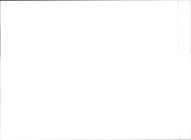 1989 Nissan Skyline - Vintage Photograph