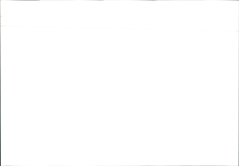 1984 Alfa Romeo 33 - Vintage Photograph