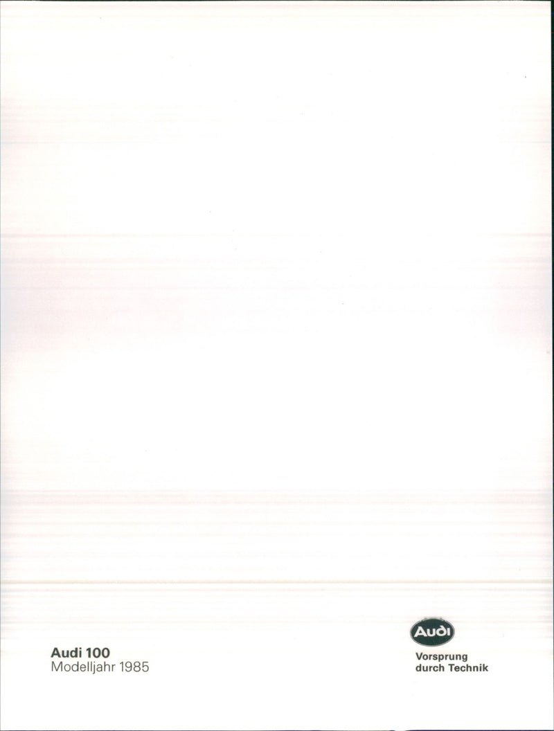 Audi 100 - Vintage Photograph