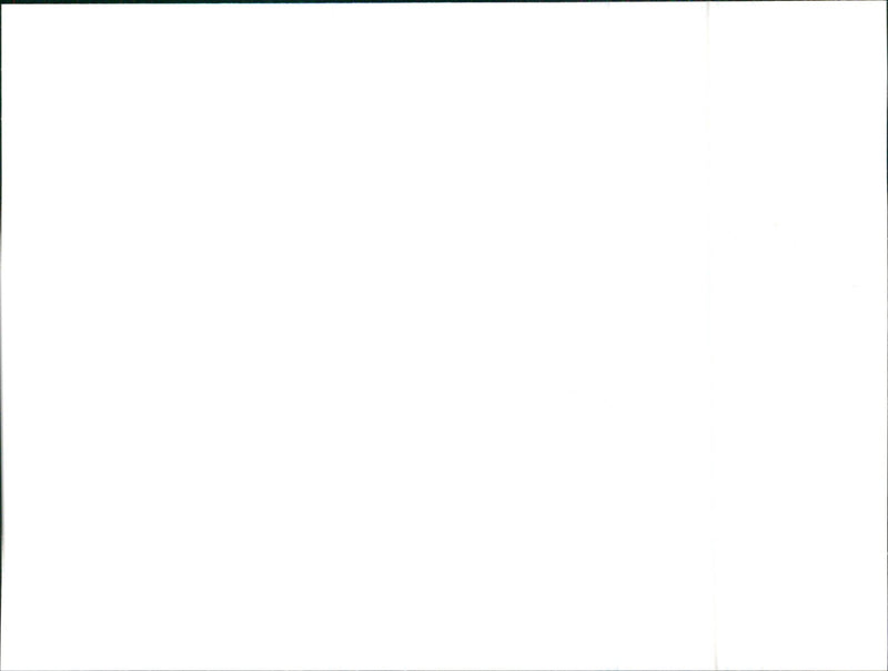 Alfa Romeo 164 Twin Spark - Vintage Photograph